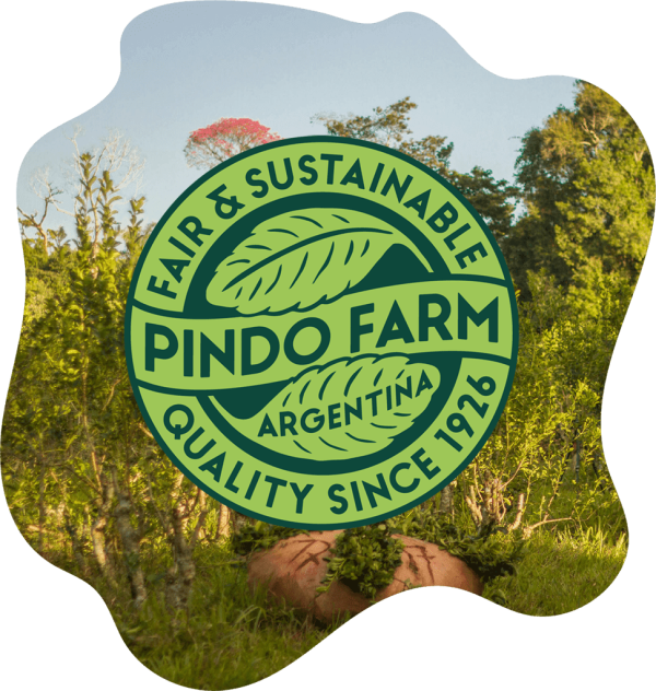 Puerto Mate Pindo Farm